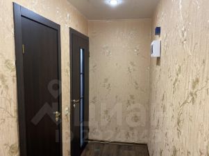 1-комн.кв., 31 м², этаж 1