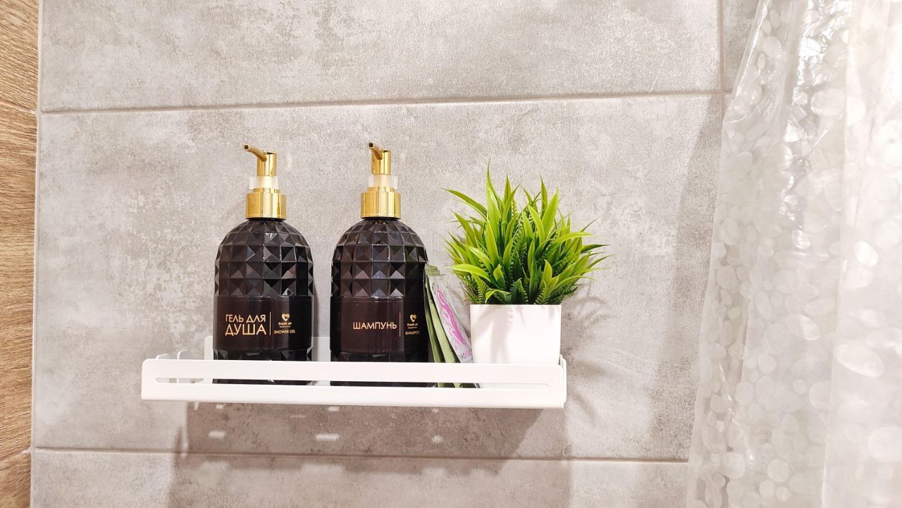 Студия Вологодская область, Вологда ул. Пугачева, 50 (30.0 м²)