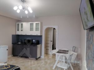 апарт.-студия, 25 м², этаж 2