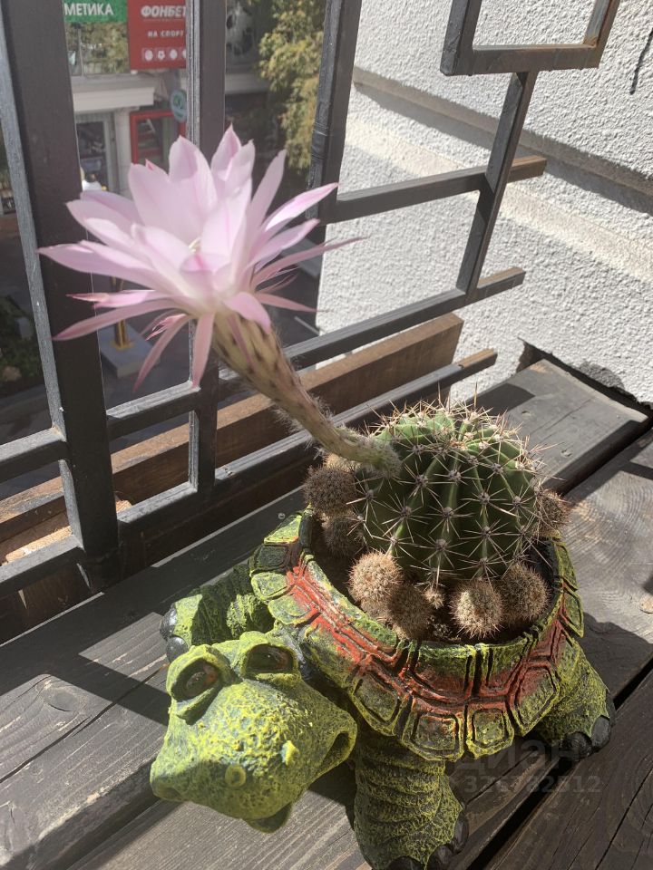 1-к кв. Крым, Ялта ул. Боткинская, 2В (76.6 м²)