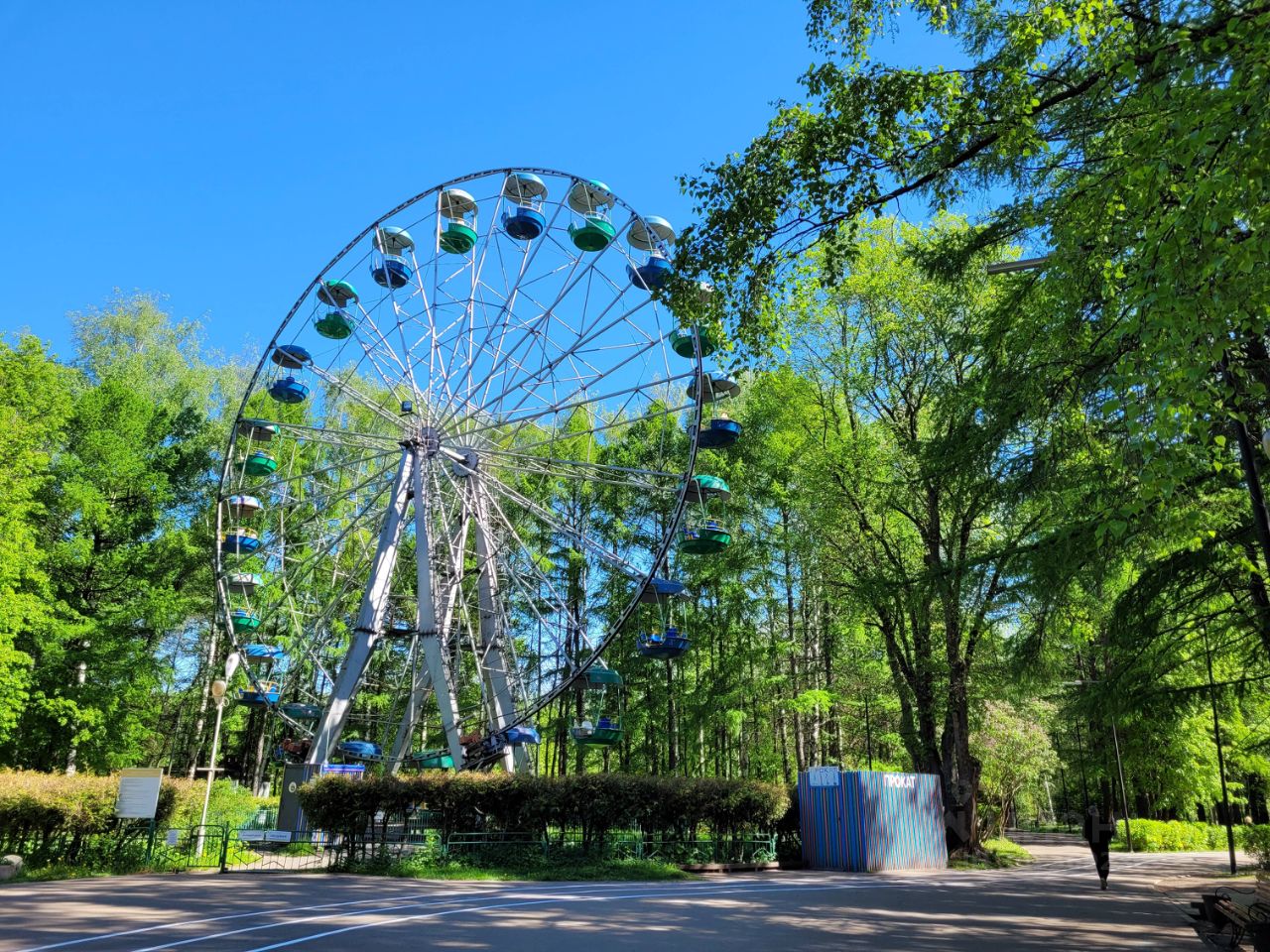 Комната Ярославская область, Ярославль ул. Павлова, 15 (23.0 м²)