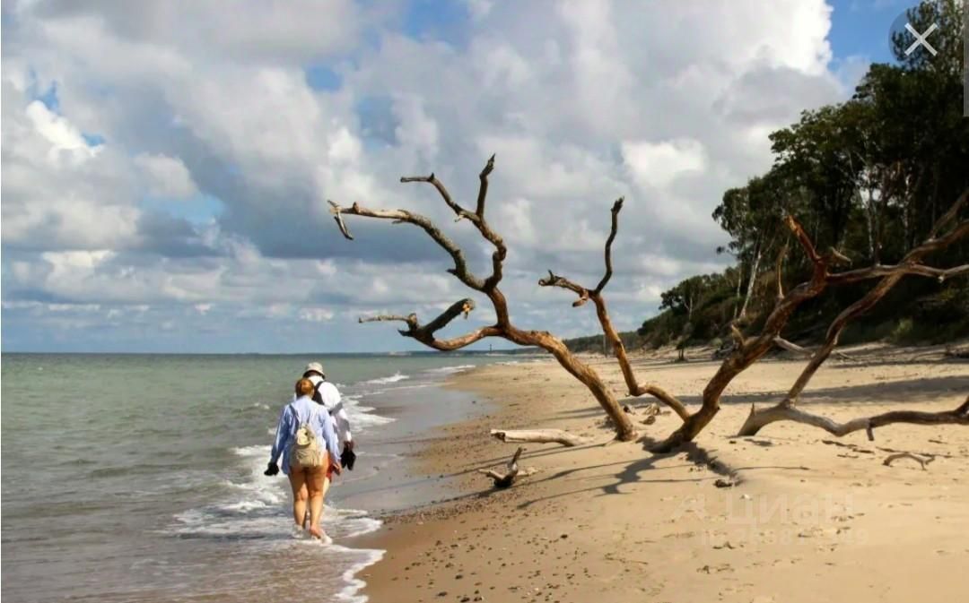 Куршская Коса Калининград Фото Летом