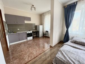 студия, 31 м², этаж 12