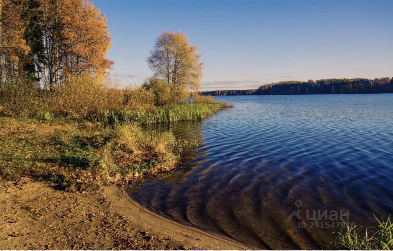 Аренда дома 20сот. Московская область, Солнечногорск городской округ,  Лопотово деревня - база ЦИАН, объявление 291547819