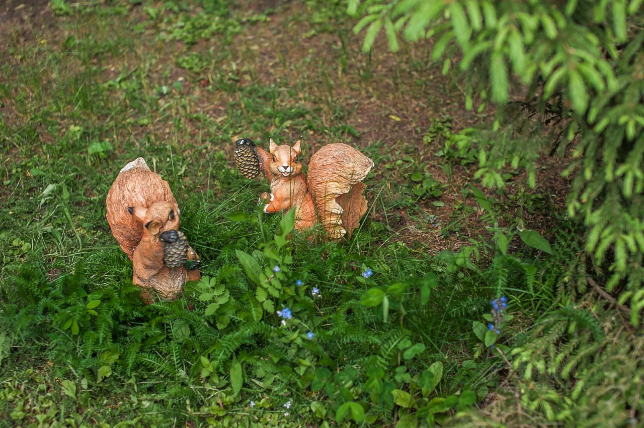 Сдам дом 2сот. Костромская область, Костромской район, Чернопенское с/пос,  Лунево деревня - база ЦИАН, объявление 287127608