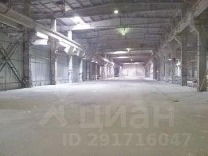 производство 2500 м², этаж 1