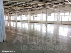 производство 750 м², этаж 2