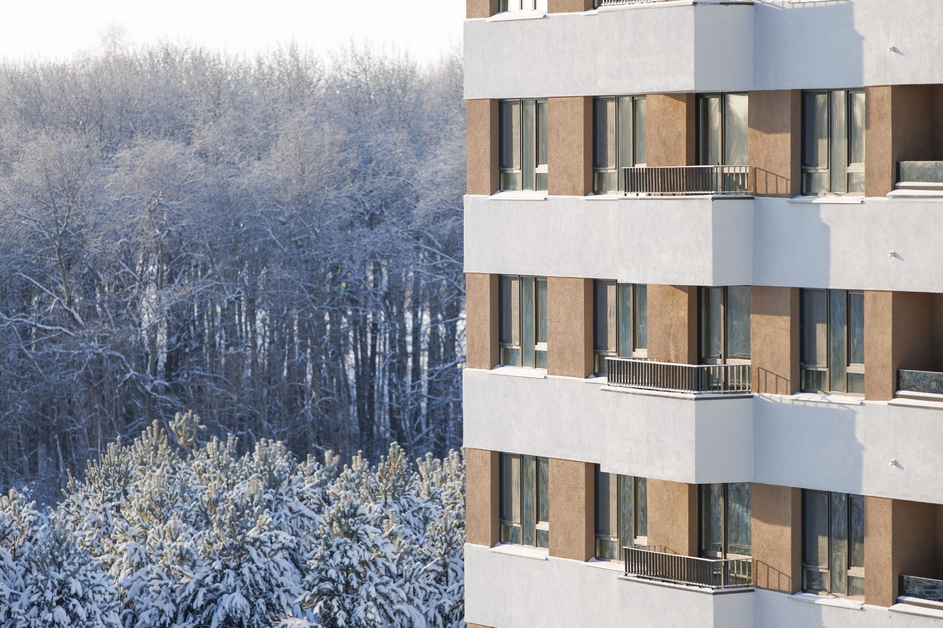 продажа квартир Скандиа. Квартал в Комарово Парк