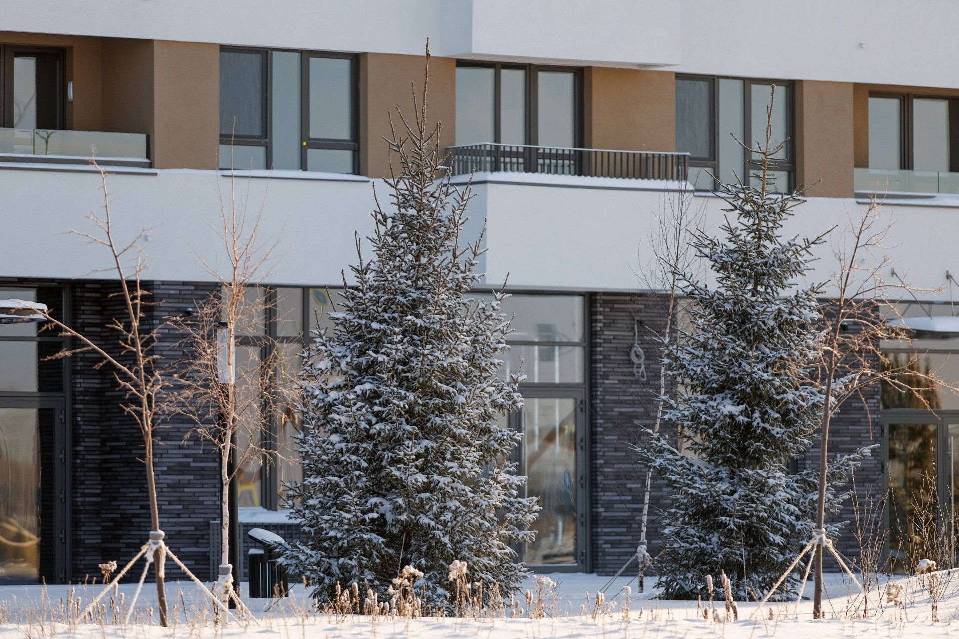 купить квартиру в ЖК Скандиа. Квартал в Комарово Парк