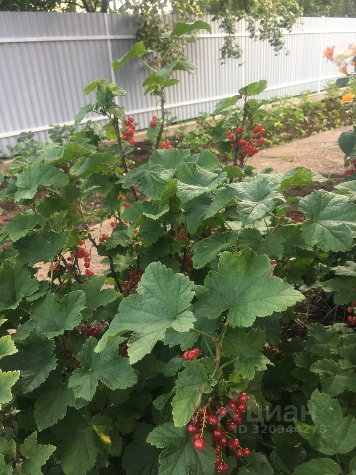 Таунхаус в Башкортостан, Уфа ул. Лекарская (96 м²)