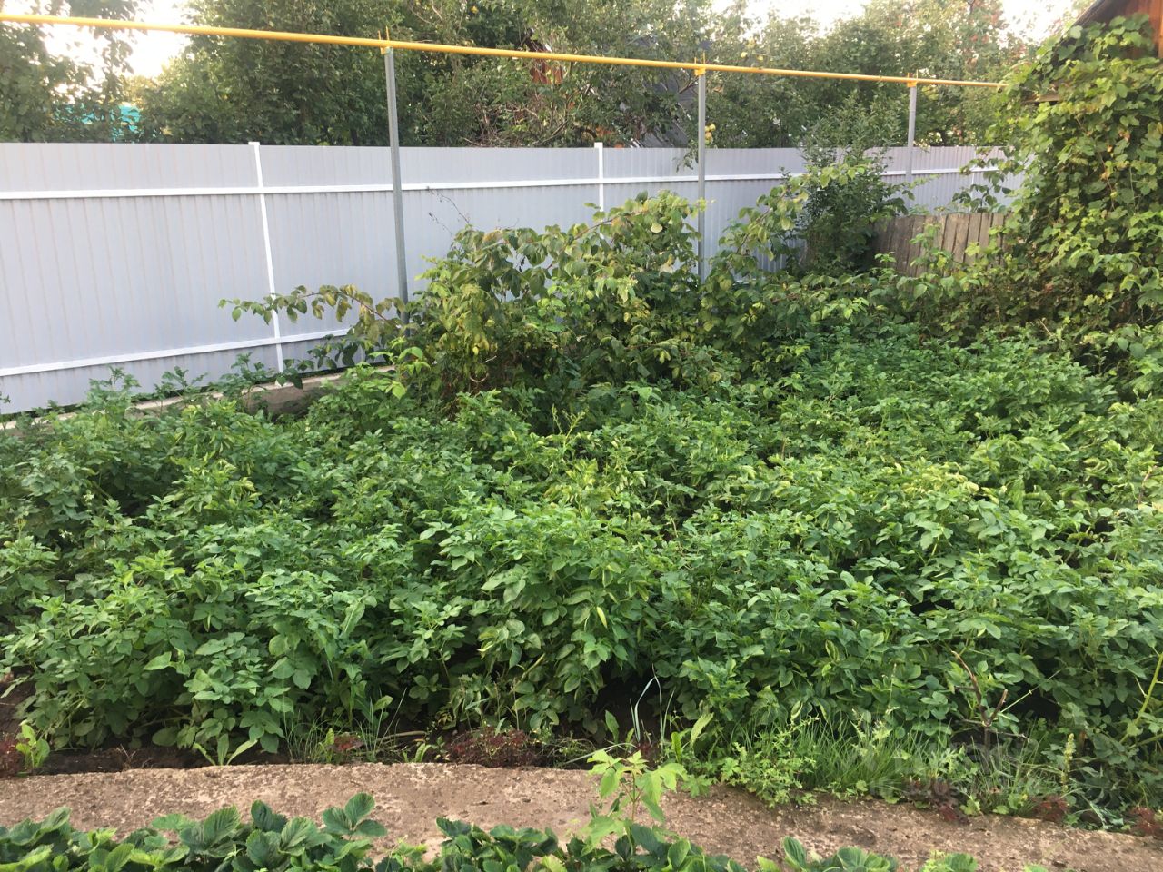 Таунхаус в Башкортостан, Уфа ул. Лекарская (96 м²)