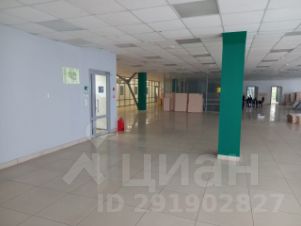 торг. площадь 700 м², этаж 3