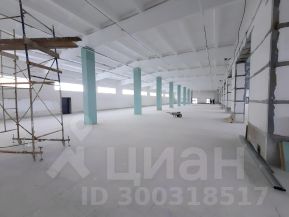 торг. площадь 2500 м², этаж 1