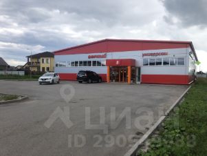 торг. площадь 250 м², этаж 1