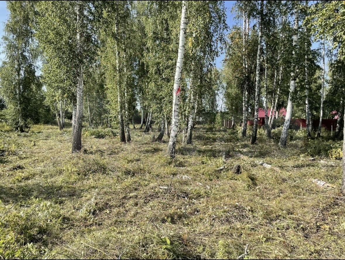 Купить земельный участок в СНТ Курчатовец Сосновского района, продажа  земельных участков - база объявлений Циан. Найдено 2 объявления