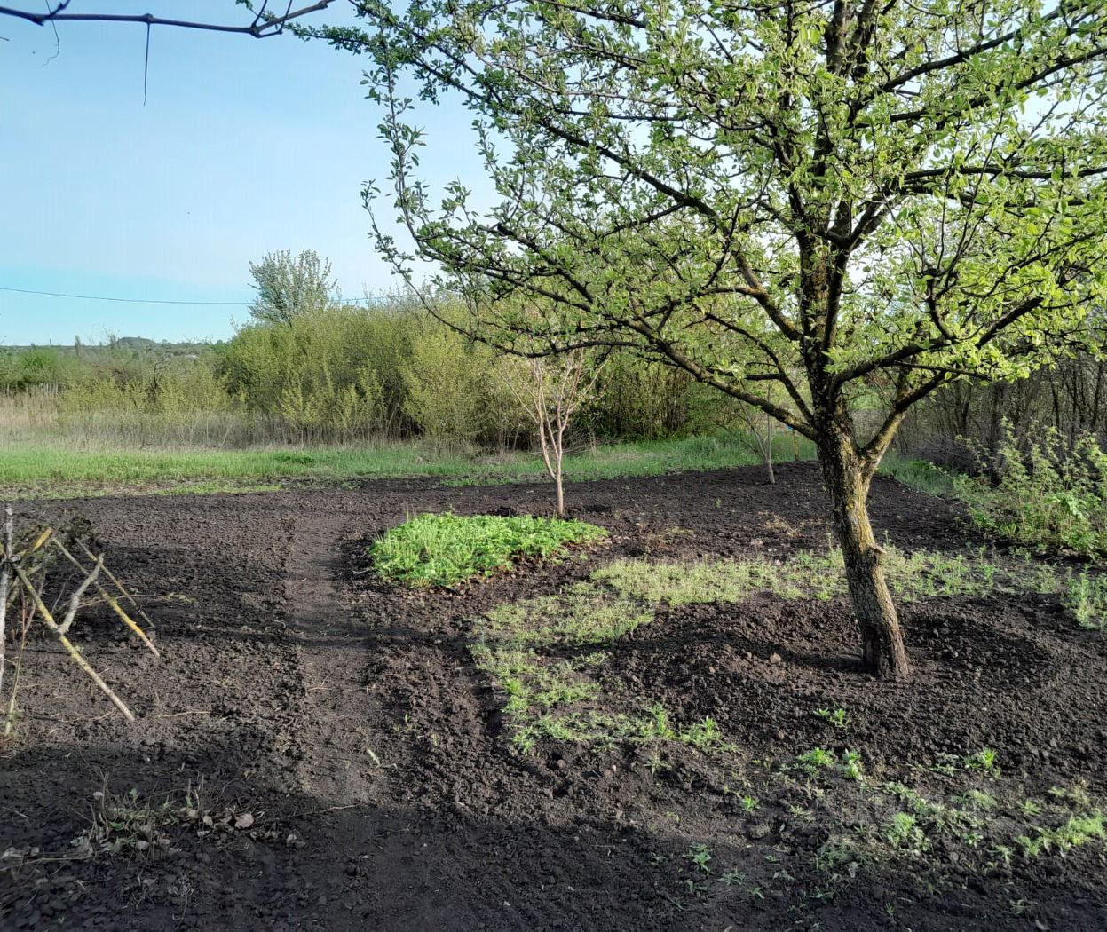 Купить земельный участок в СНТ Заря в городе Липецк, продажа земельных  участков - база объявлений Циан. Найдено 4 объявления