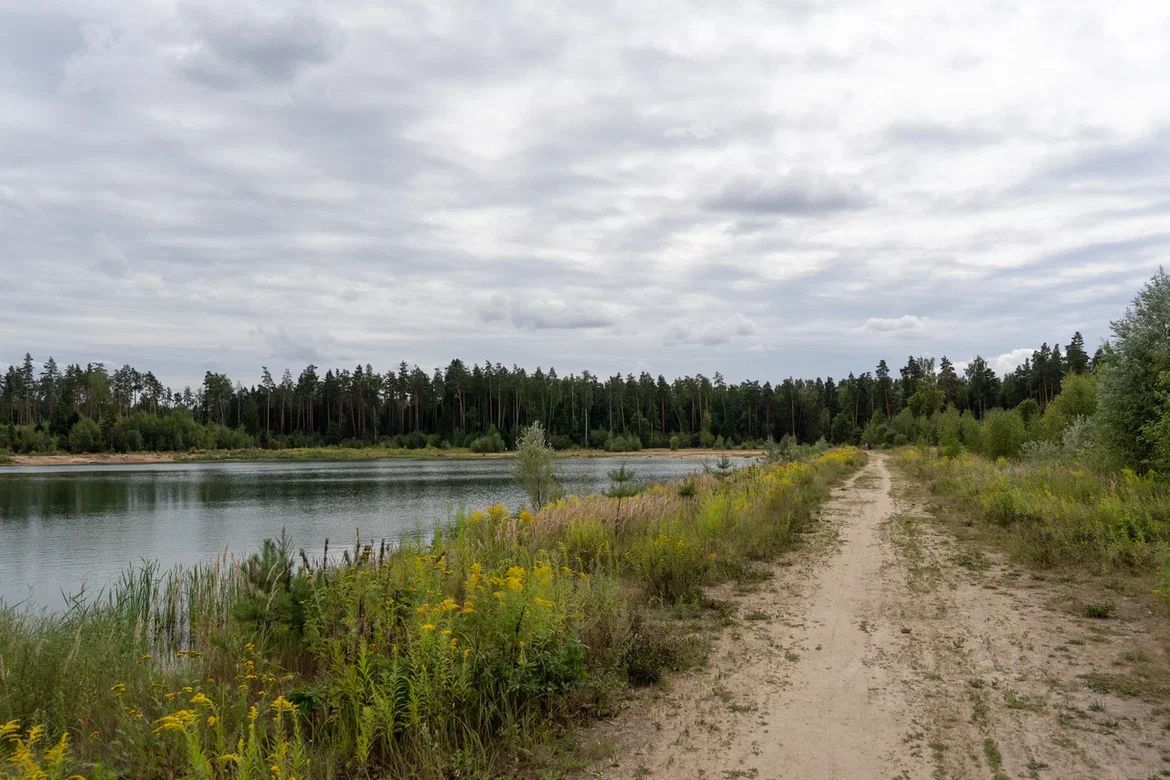 Купить участок 8 соток в городском округе Лосино-Петровском Московской  области. Найдено 7 объявлений.