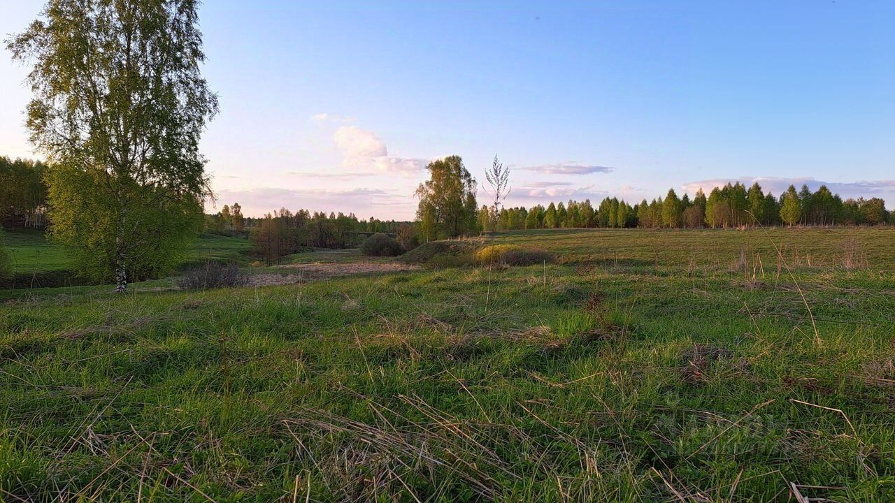 Купить земельный участок без посредников в Рославльском районе Смоленской  области от хозяина, продажа земельных участков от собственника в  Рославльском районе Смоленской области. Найдено 48 объявлений.