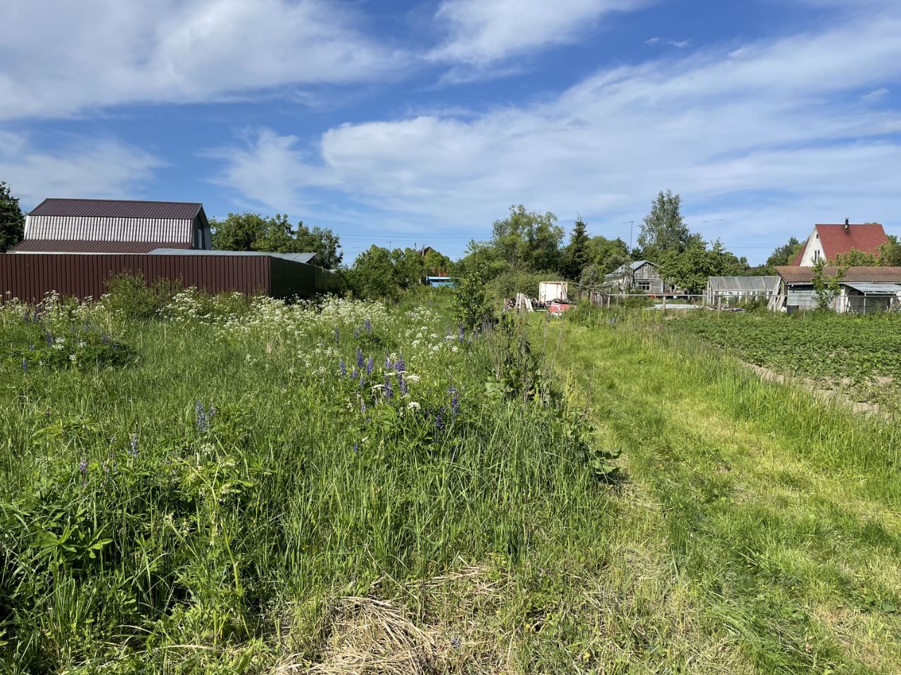 Купить земельный участок в городском округе Орехово-Зуевском Московской  области, продажа земельных участков - база объявлений Циан. Найдено 371  объявление