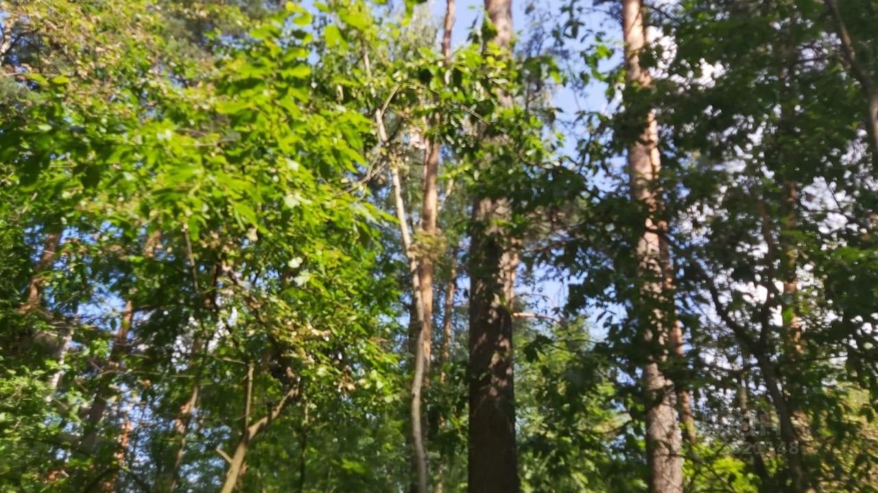 Купить земельный участок в садовое товарищество Овощевод городского округа  Богородского, продажа земельных участков - база объявлений Циан. Найдено 1  объявление