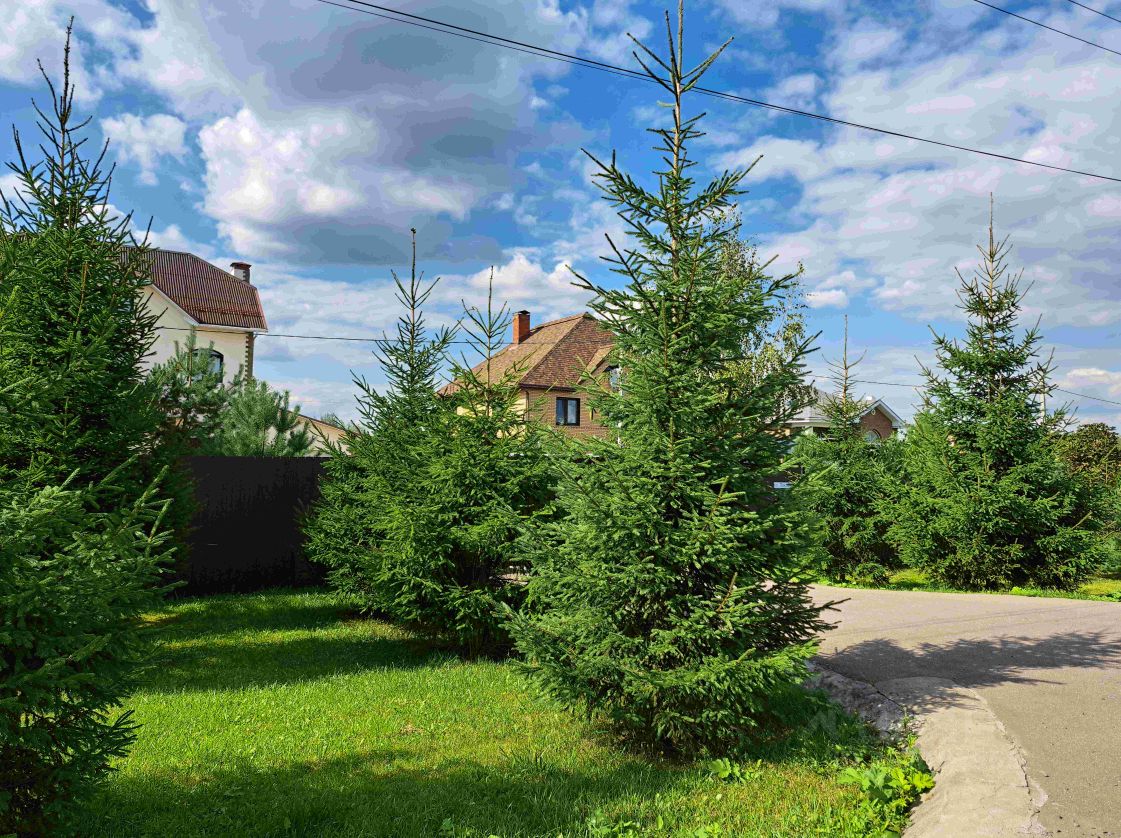 Продажа участка 5сот. Московская область, Домодедово, Барыбино СНТ ...