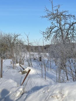 участок 30.0 сот.