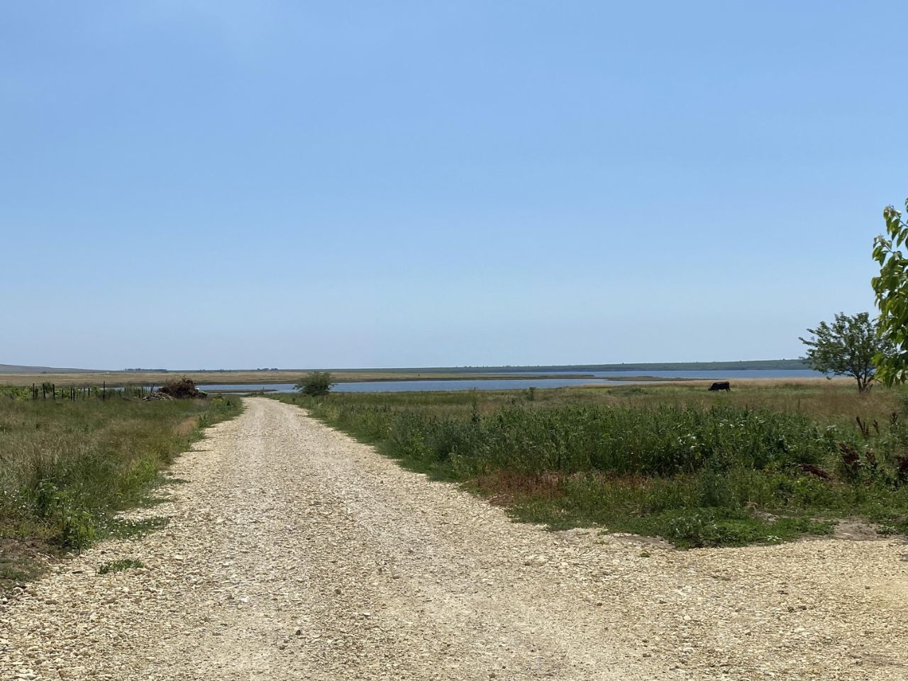 Купить земельный участок в поселке Батарейка Темрюкского района, продажа  земельных участков - база объявлений Циан. Найдено 2 объявления