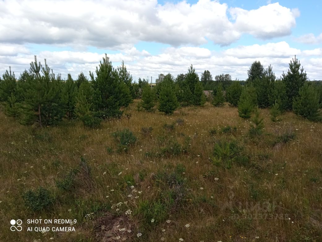 Купить земельный участок в поселке городского типа Белоярский Свердловской  области, продажа земельных участков - база объявлений Циан. Найдено 77  объявлений