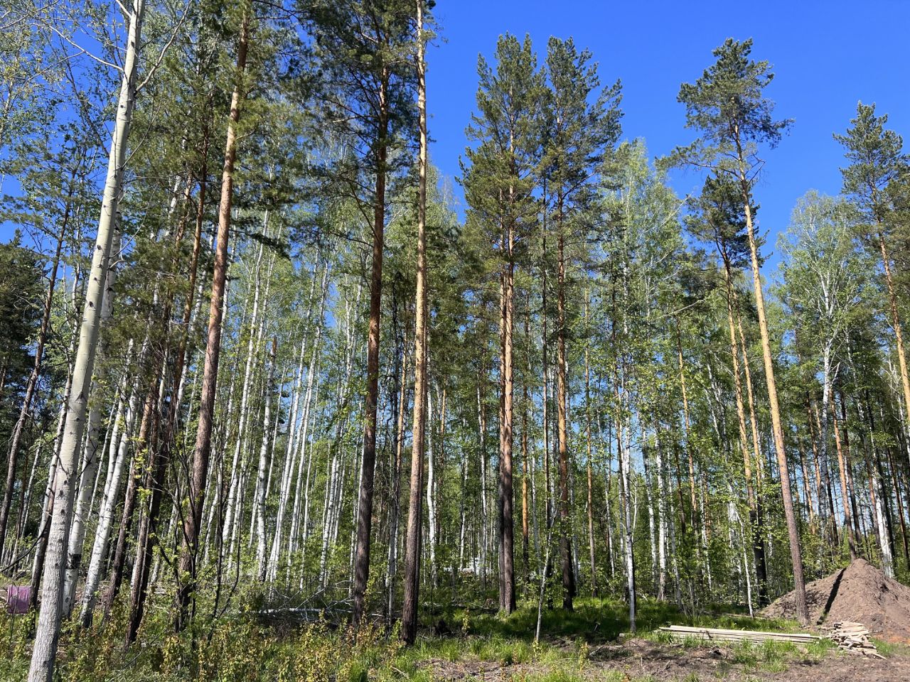 Купить земельный участок в селе Курганово Свердловской области, продажа  земельных участков - база объявлений Циан. Найдено 60 объявлений