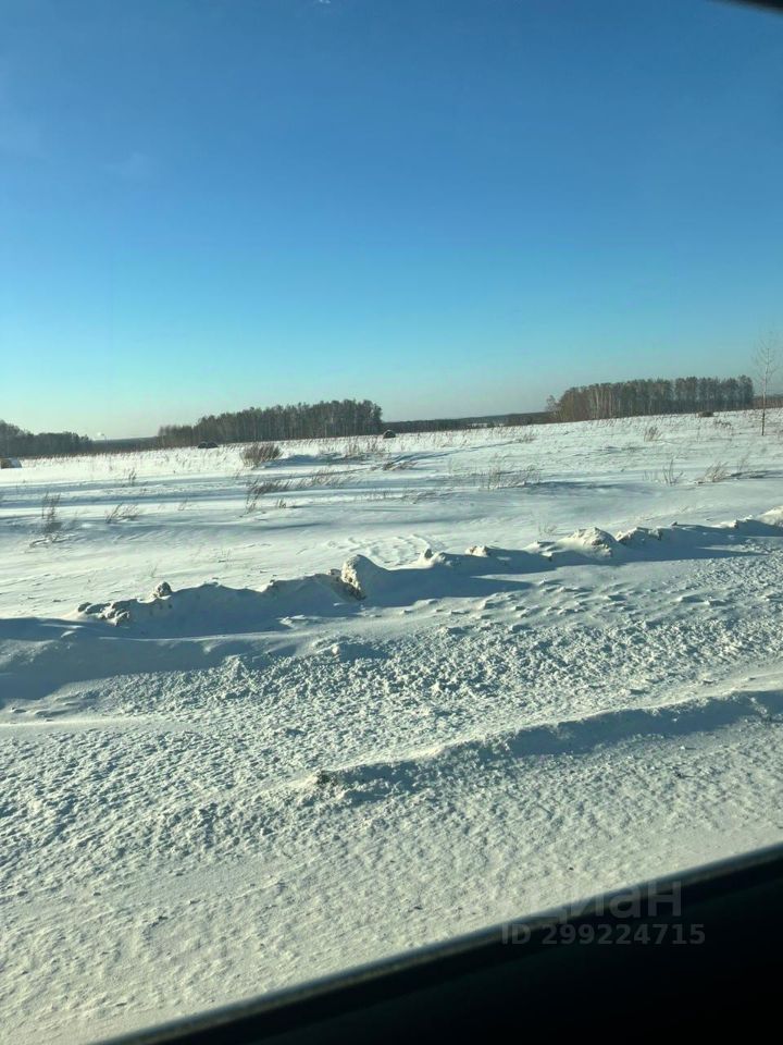 На фотографии виден снежный пейзаж с ровной поверхностью снега, покрывающего землю. Вдалеке виднеются деревья, которые создают контраст с ярким голубым небом. Снег имеет легкие волны и текстуры, что придаёт сцене динамичность. На переднем плане видна дорога, частично занесённая снегом, что указывает на зимние условия. Общая атмосфера спокойная и умиротворяющая, передающая ощущение зимней природы.