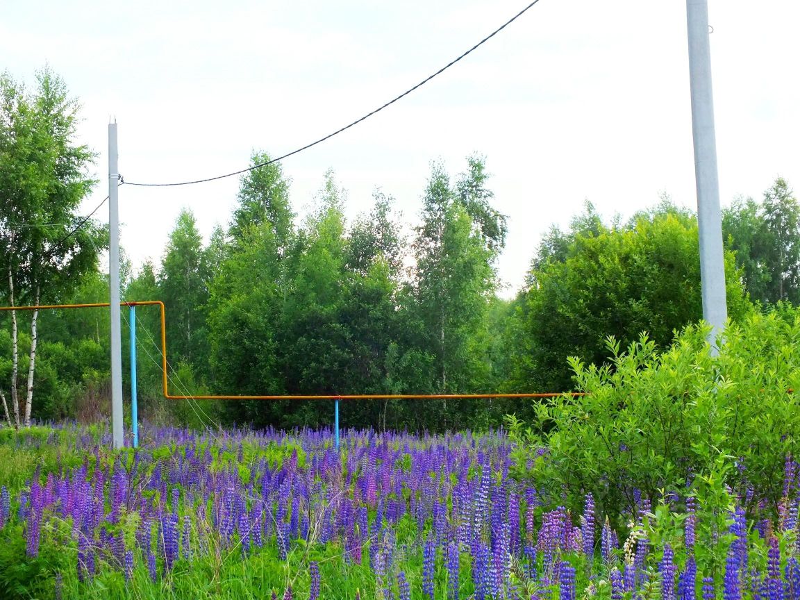Купить Дом В Березовке Нижегородской Области