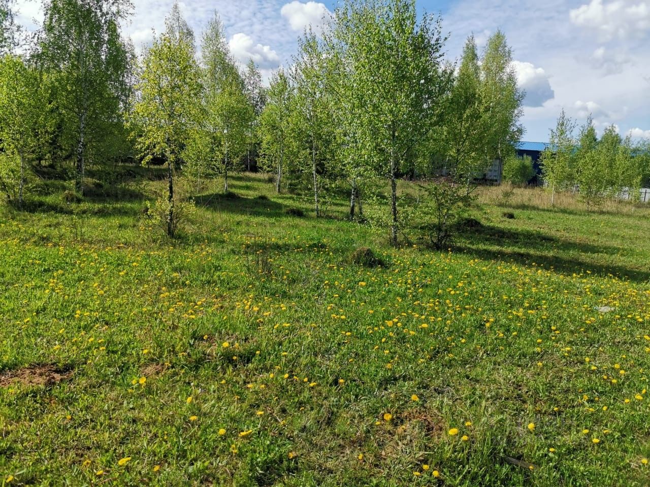 Купить земельный участок в деревне Беспятово Московской области, продажа  земельных участков - база объявлений Циан. Найдено 7 объявлений