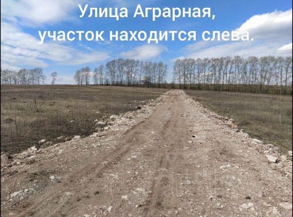 Купил участок а там. Грязная дорога. Грязная дорога в деревне. Грязь на дороге