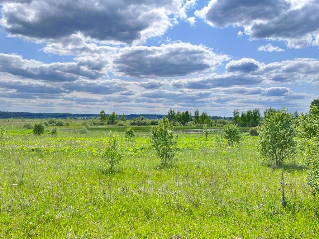 Купить земельный участок в селе Борисово Московской области, продажа  земельных участков - база объявлений Циан. Найдено 8 объявлений