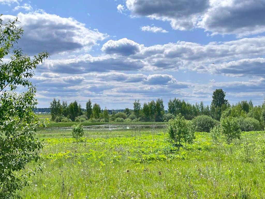 Купить земельный участок в селе Борисово Московской области, продажа  земельных участков - база объявлений Циан. Найдено 8 объявлений