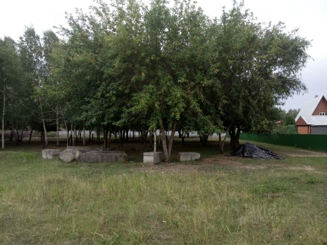 На фотографии изображена просторная зеленая зона с деревьями, создающими тень. Видны бетонные конструкции, возможно, предназначенные для сидения или отдыха. Растительность разнообразна, с густыми кронами деревьев, что придает месту уютную атмосферу. На заднем плане виден участок с накрытым черным материалом, что может указывать на хранение или укрытие. Цвета природы преобладают: зелень деревьев и травы с серыми оттенками бетона. Пространство выглядит приглашающим для отдыха на свежем воздухе.