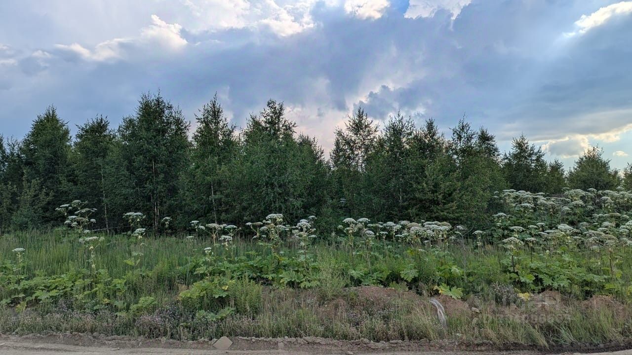 Купить земельный участок в СНТ Солнышко в городе Видное, продажа земельных  участков - база объявлений Циан. Найдено 1 объявление