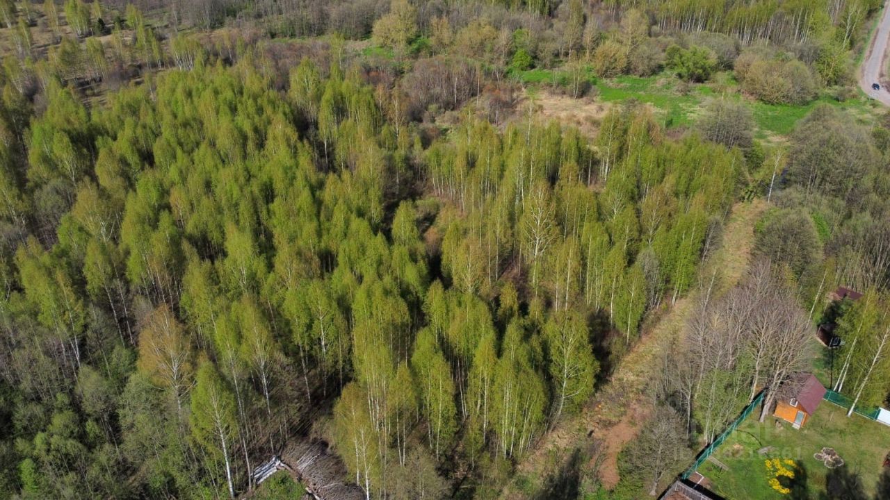 Купить загородную недвижимость в селе Бурашево Калининского района, продажа  загородной недвижимости - база объявлений Циан. Найдено 3 объявления