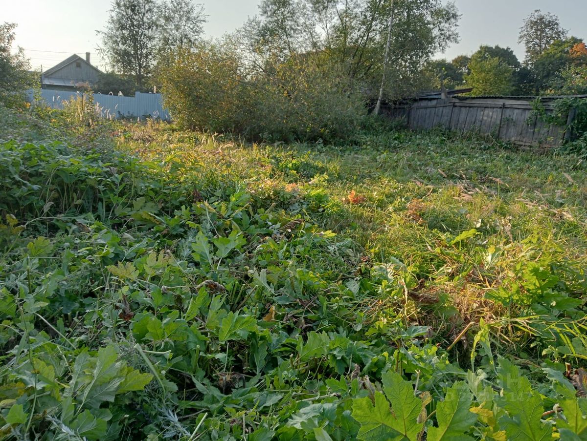 Купить загородную недвижимость в деревне Чашниково Московской области,  продажа загородной недвижимости - база объявлений Циан. Найдено 6 объявлений