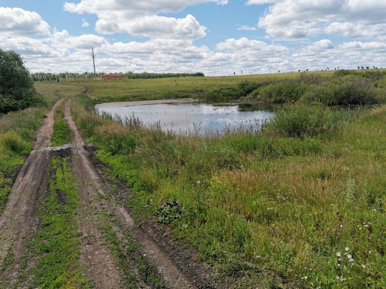 Купить загородную недвижимость на улице Долгая в селе Черемишево, продажа  загородной недвижимости - база объявлений Циан. Найдено 2 объявления