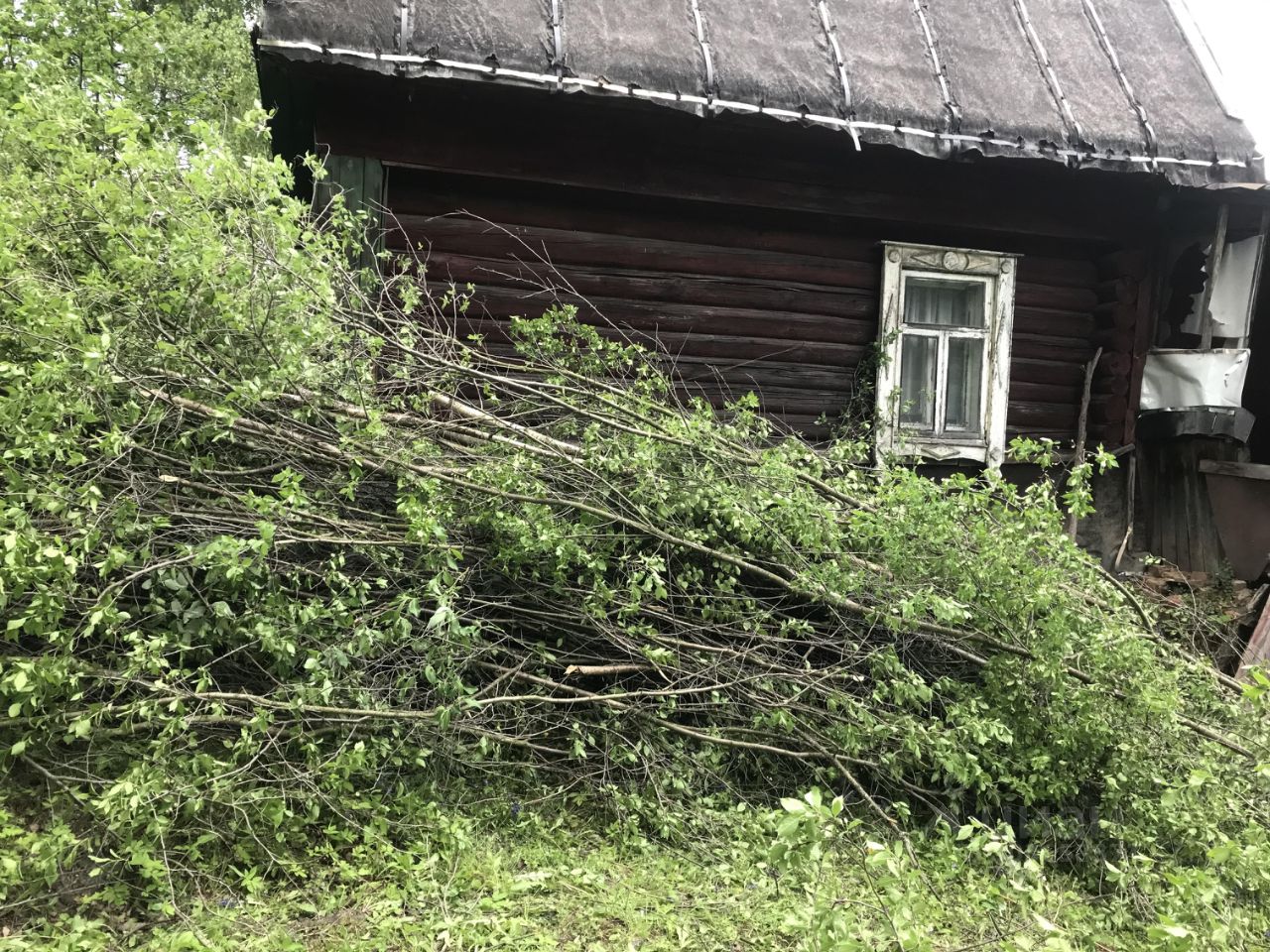 Купить земельный участок без посредников в рабочем поселке Деденево  Московской области от хозяина, продажа земельных участков от собственника в  рабочем поселке Деденево Московской области. Найдено 3 объявления.