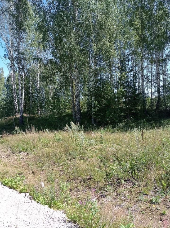 Солнечный остров молоково. Деревня агарино. Участок 6 солнечная. Участок 6 солнечная. Участок 6 солнечная.