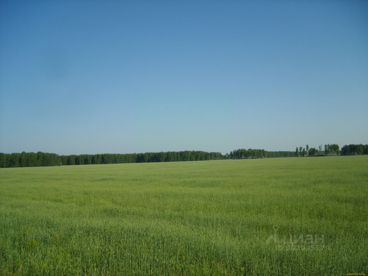 Купить загородную недвижимость в Дмитриевском районе Курской области,  продажа загородной недвижимости - база объявлений Циан. Найдено 30  объявлений