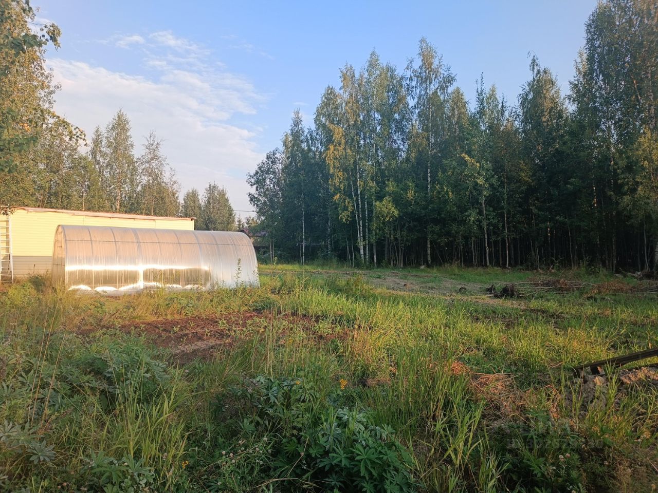 Купить земельный участок в СНТ Диана в городском поселении Рахьинское,  продажа земельных участков - база объявлений Циан. Найдено 1 объявление