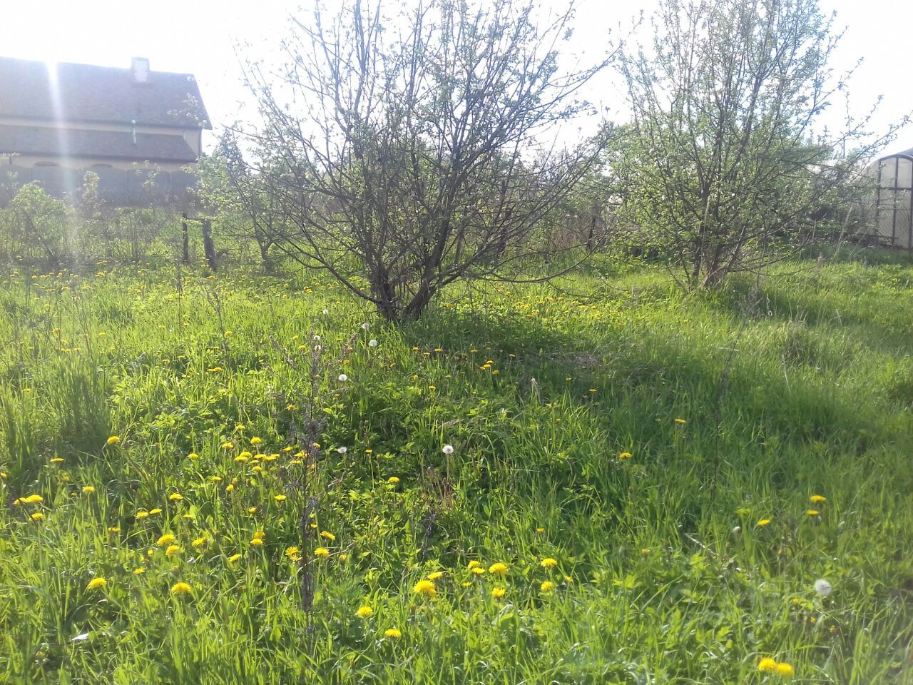 Купить Участок Под Ижс В Отрадном