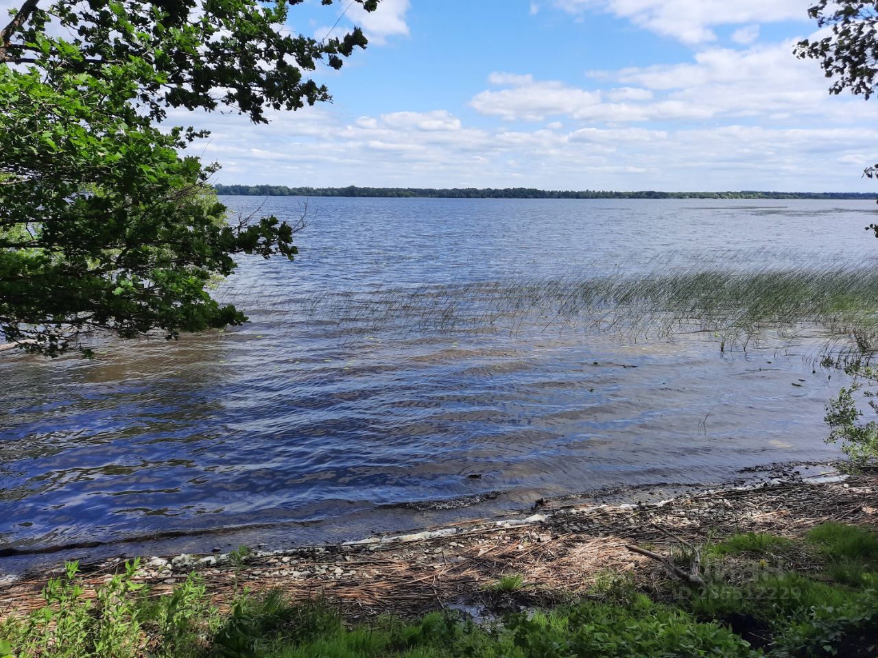 Купить загородную недвижимость в деревне Домкино Лужского района, продажа  загородной недвижимости - база объявлений Циан. Найдено 3 объявления