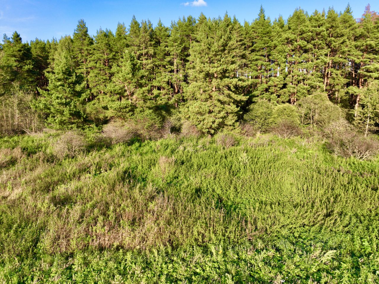 Купить участок 6сот. ул. Имени В.Д. Преснова, 6, Московская область ...