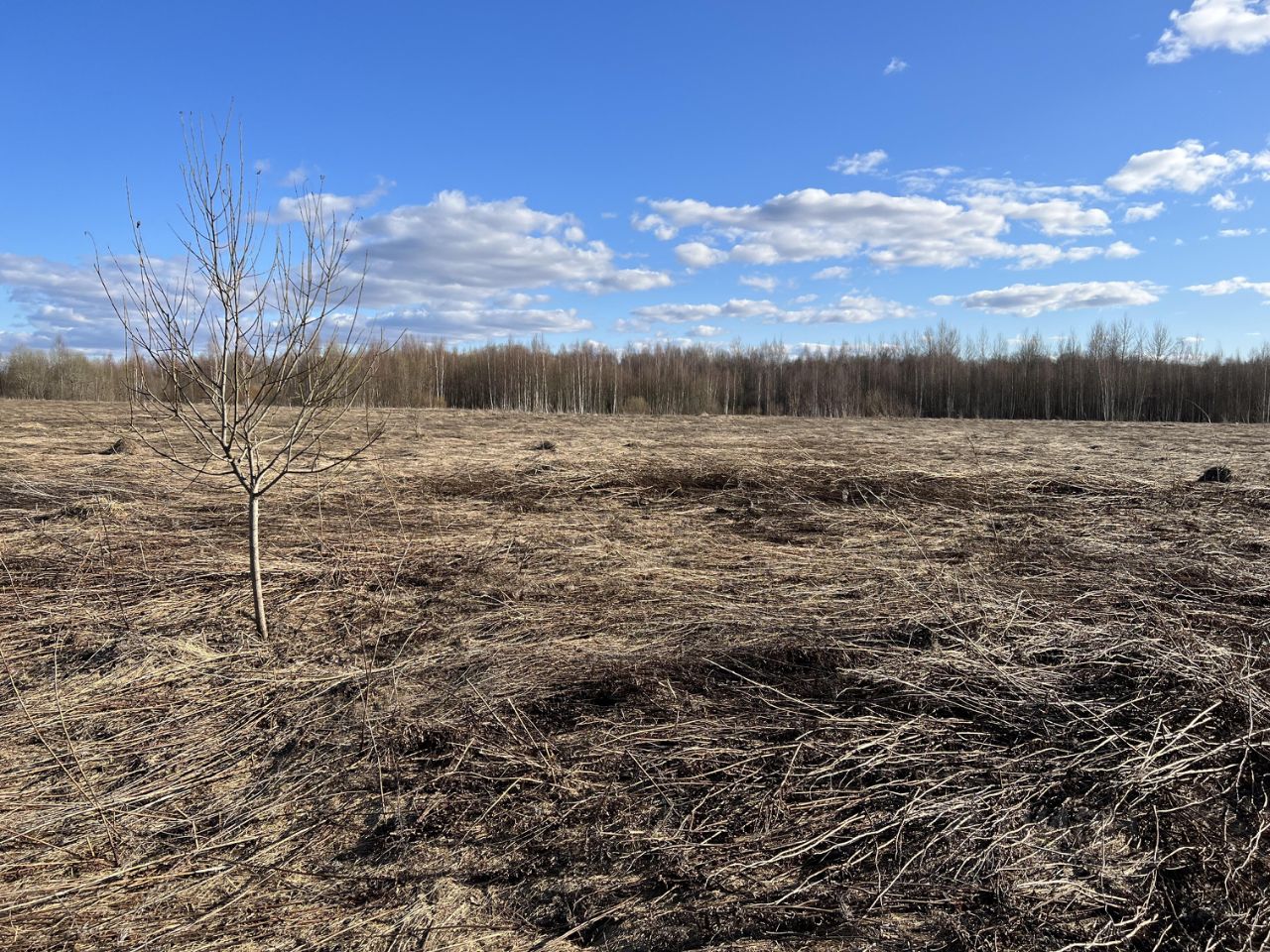 Купить загородную недвижимость в деревне Щегоща Лужского района, продажа  загородной недвижимости - база объявлений Циан. Найдено 2 объявления