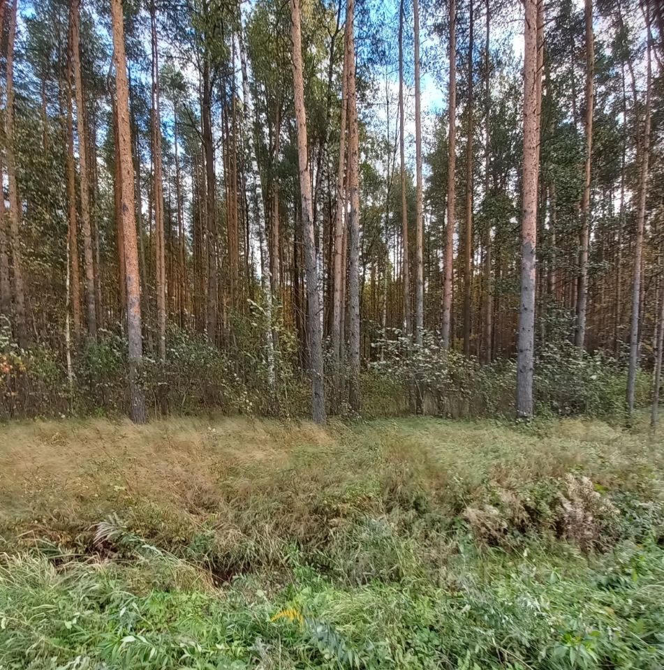 Купить Участок Земли В Рассрочку