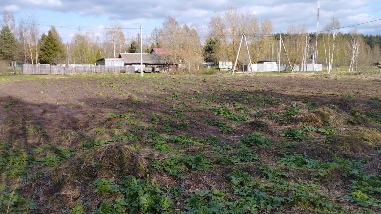 Купить земельный участок в деревне Федорцово Московской области, продажа  земельных участков - база объявлений Циан. Найдено 7 объявлений